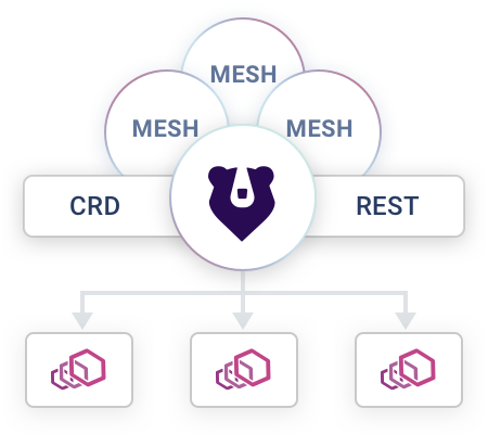 CRD + RESTful Interface diagram